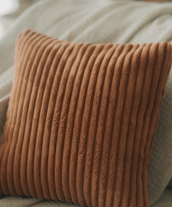Soft Velvet Cushion Cover