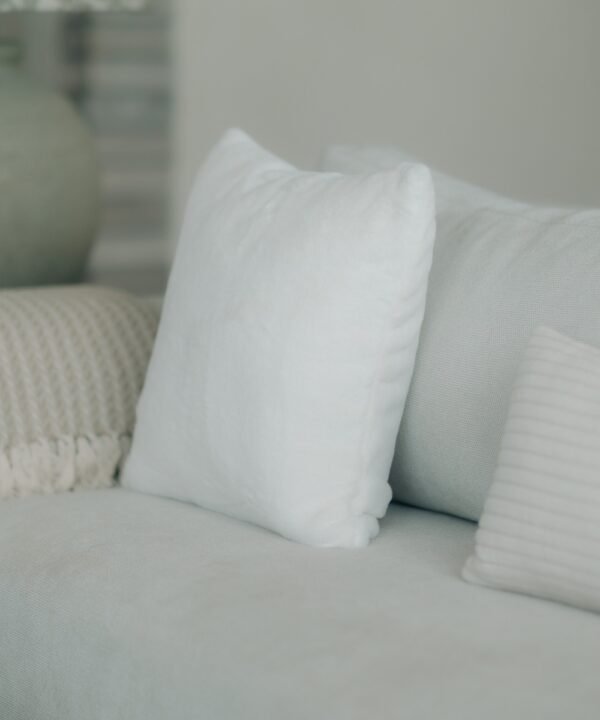 pillow cushion