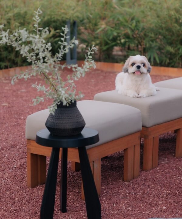 Modern Accent Stool